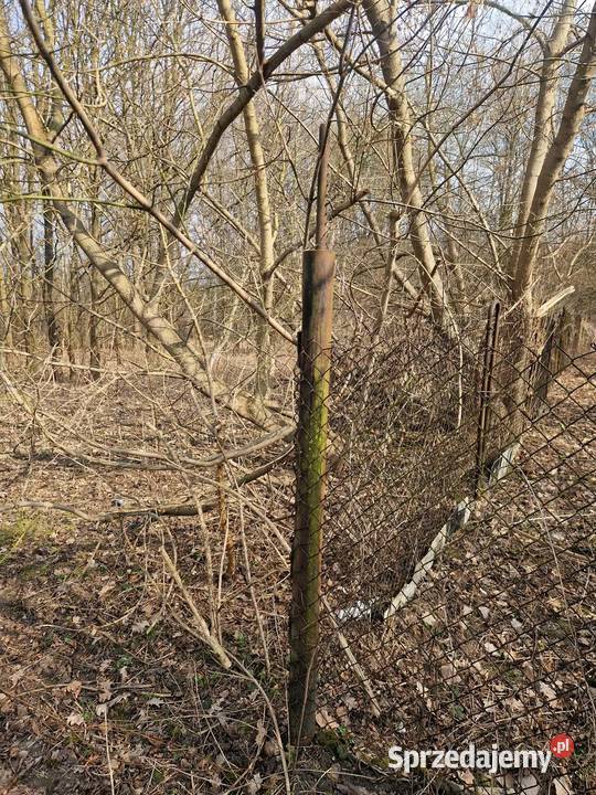 Działka grunty rolne Starachowice