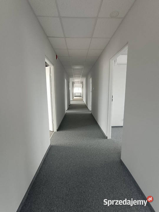 Lokal Kielce Kolberga 204 metry sprzedam