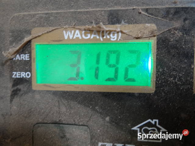 śrubki ESKA 3 MZ TS ETZ Simson org DDR Żary