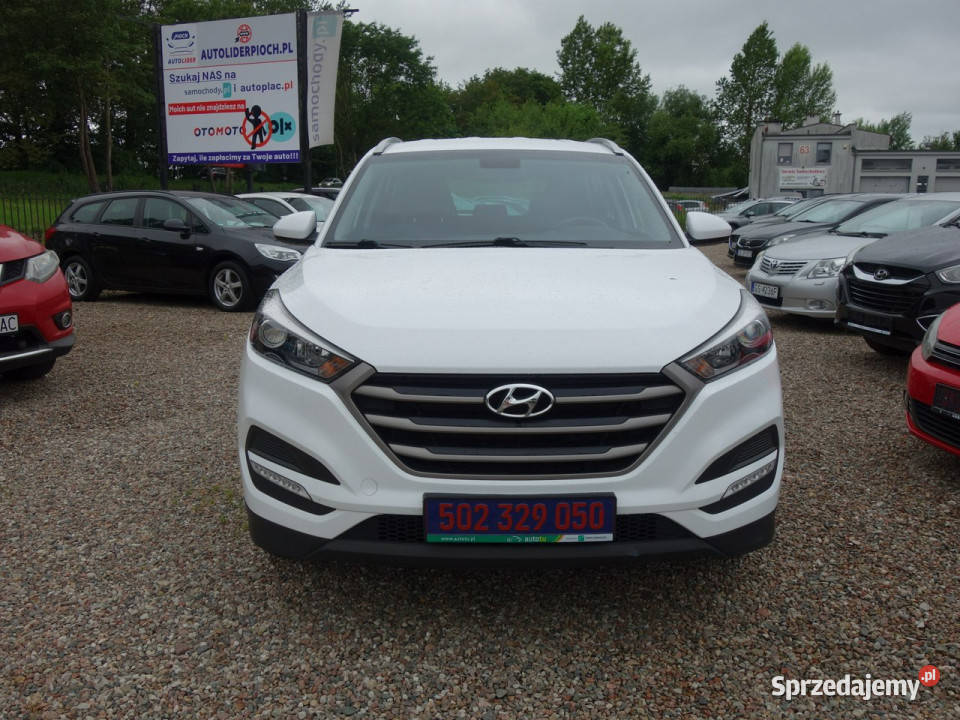 Hyundai Tucson HYUNDAI TUCSON MAŁY reflektory ksenonowe Słupsk