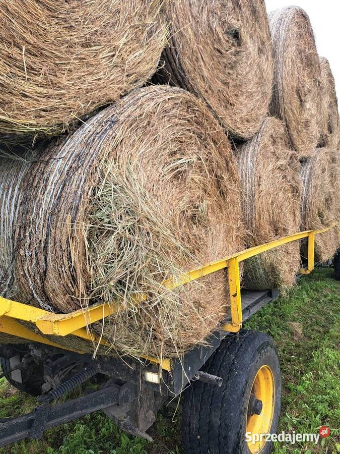 Siano w balotach koni baloty siana koni bydła Siewierz