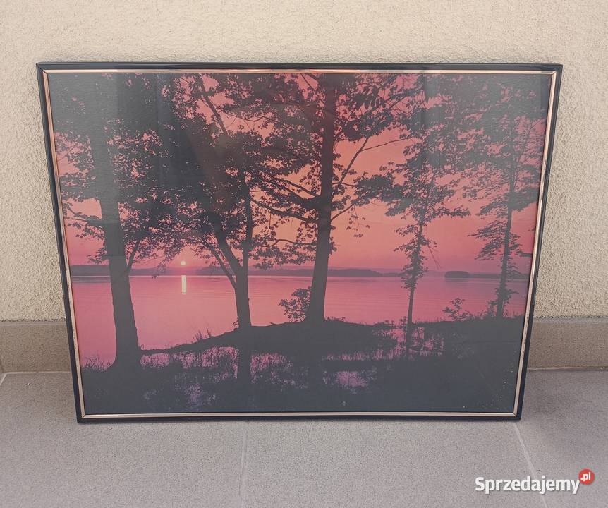 Obraz reprodukcja na ścianę 50 40 Przyroda Bochnia