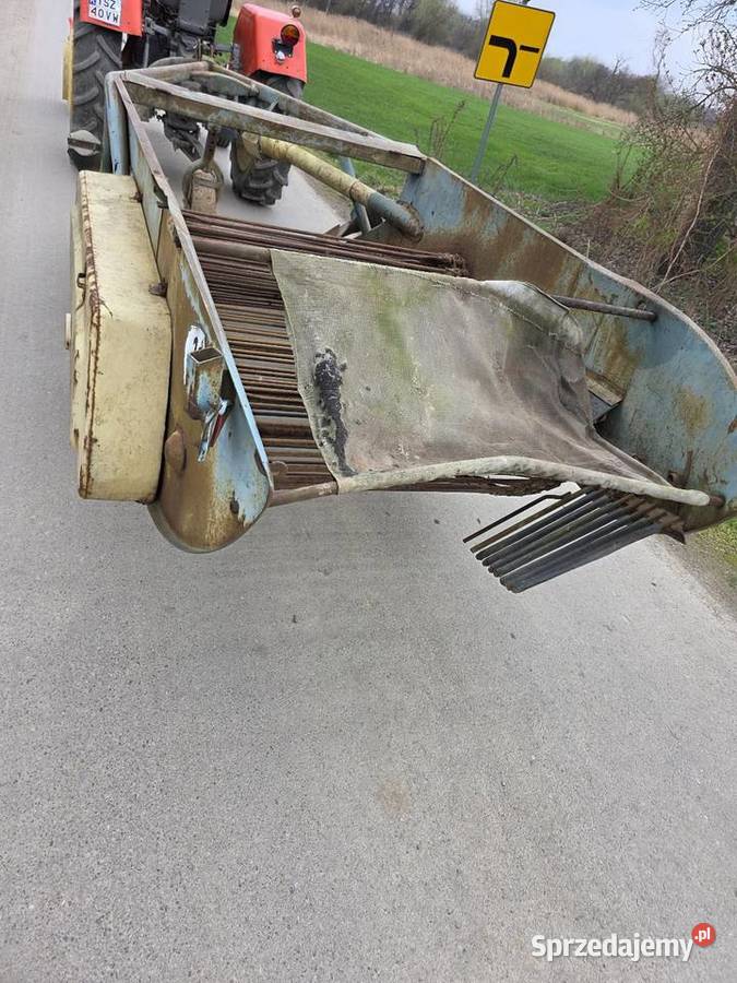 Kopaczka elewatorowa dwurzedowa do ziemniakow świętokrzyskie Samborzec