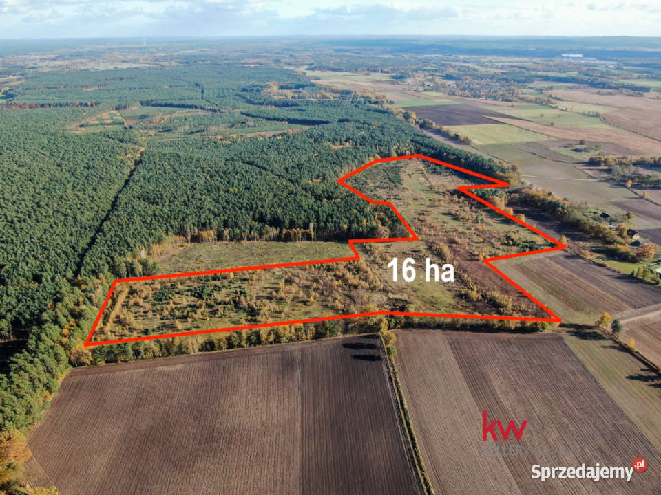 Grunt 16310 metrów Borzynowo sprzedam