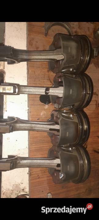 Części do silnika 20 tdci Pozostałe Dołhobyczów