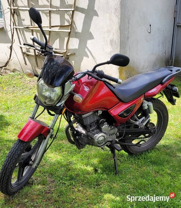 ZIP TAYO 125 Sierczynek