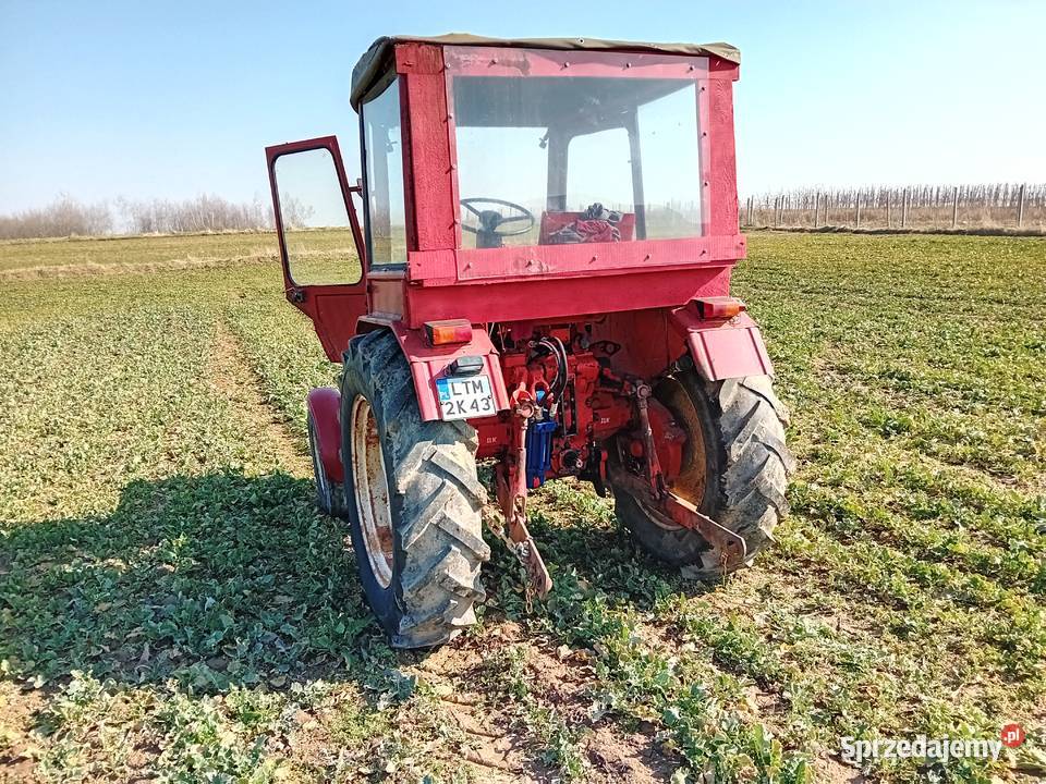 Wladymirec Ursus Zetor MF lubelskie