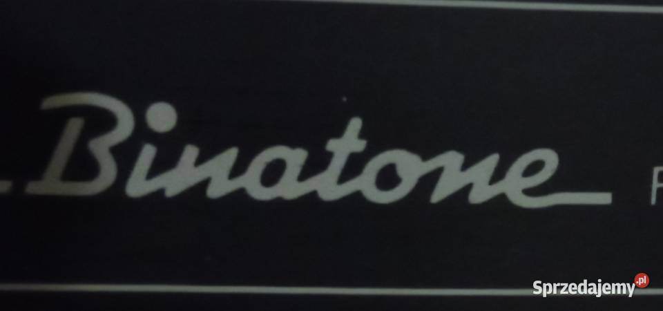Głośnik Binatone Car audio dolnośląskie Wrocław sprzedam