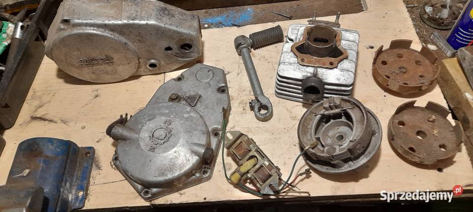 komar Międzychód sprzedam