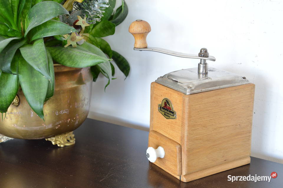 drewniany MŁYNEK do kawy stary Zassenhaus Antyki, Sztuka, Kolekcje śląskie