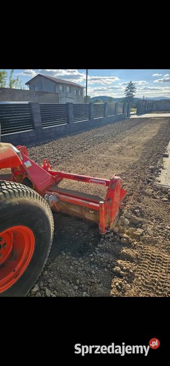 Glebogryzarka maschio Sosnowa