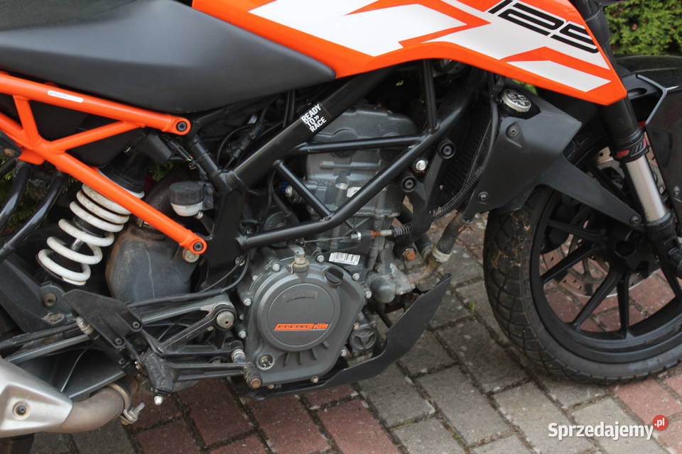 KTM DUKE 125 2019 zarejestrowany można wracać na Goleniów