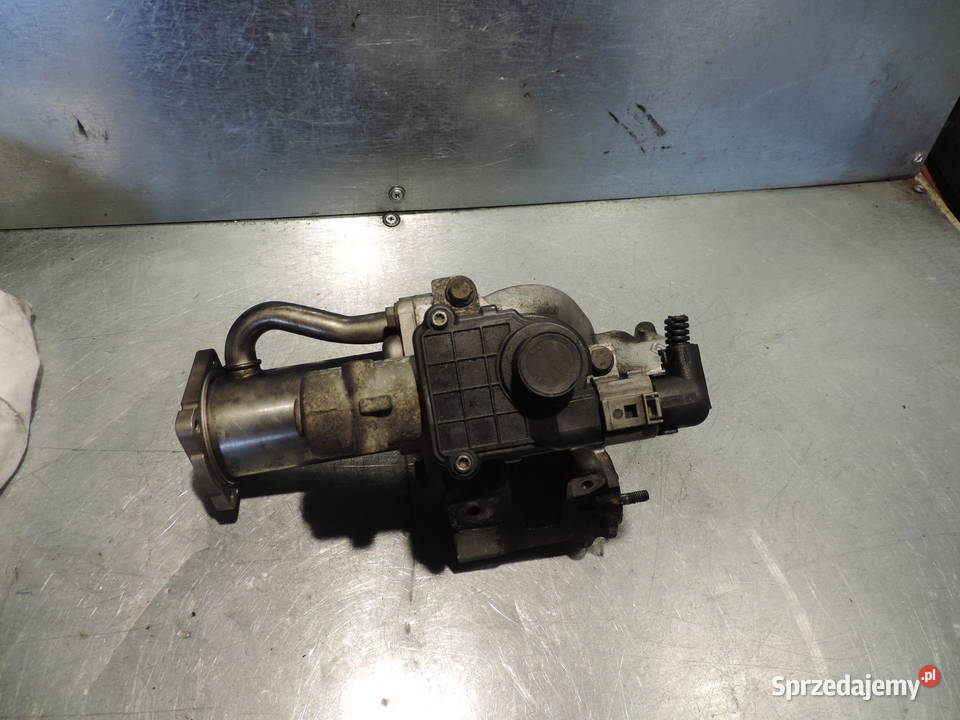 ZAWÓR EGR RENAULT MEGANE II 2 15 dci 8200282949 małopolskie Nowy Sącz