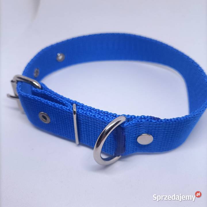Obroża psa 25mm75 sprzedam