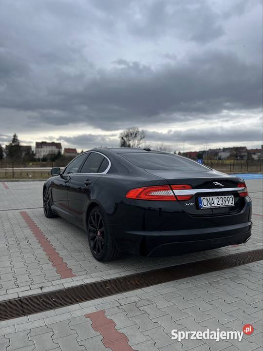 Jaguar XF x250 22d Rok produkcji 2012 Występ
