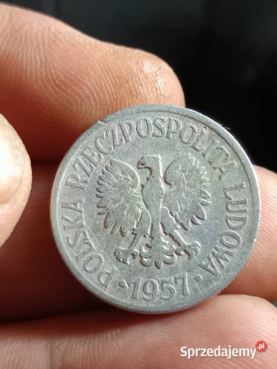 Sprzedam 50 gr 1957 r Chełm