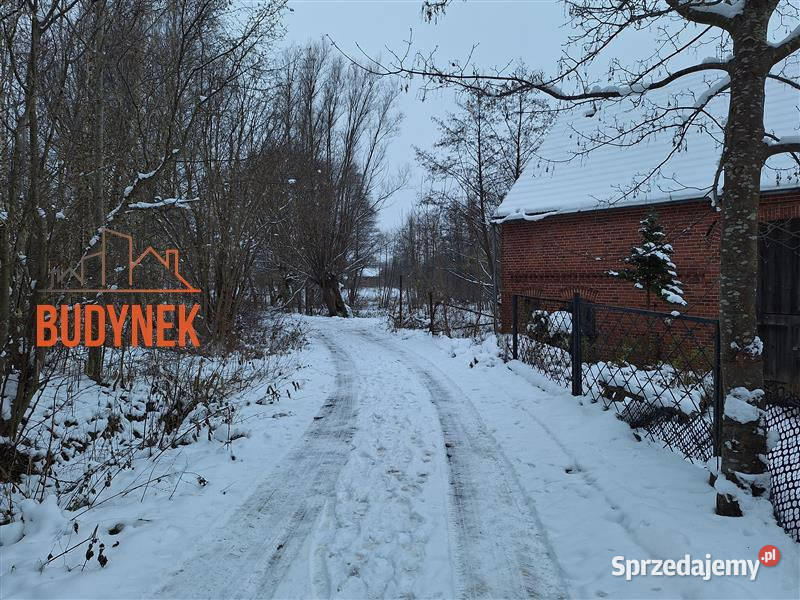 Działka rolna Przystawy 80m