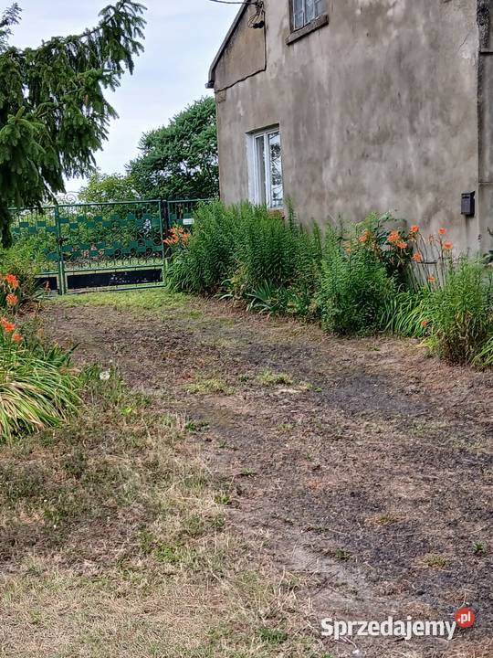 Rzeżewo gospodarstwo rolne sprzedam rolna Rzeżewo-Morzyce