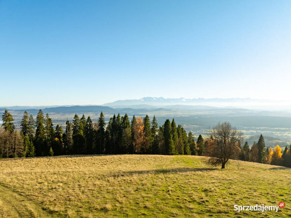 Działka z widokiem na Tatry Knurów 71 arów