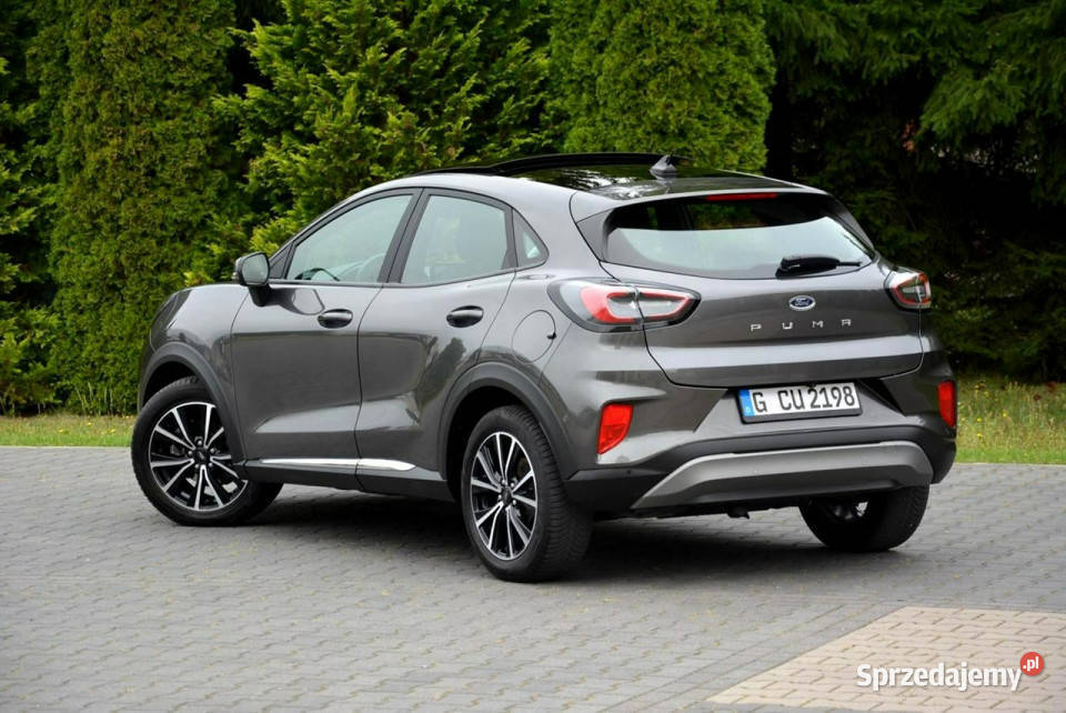 Ford Puma Panorama Radar Ledy Duża Navi Kamera