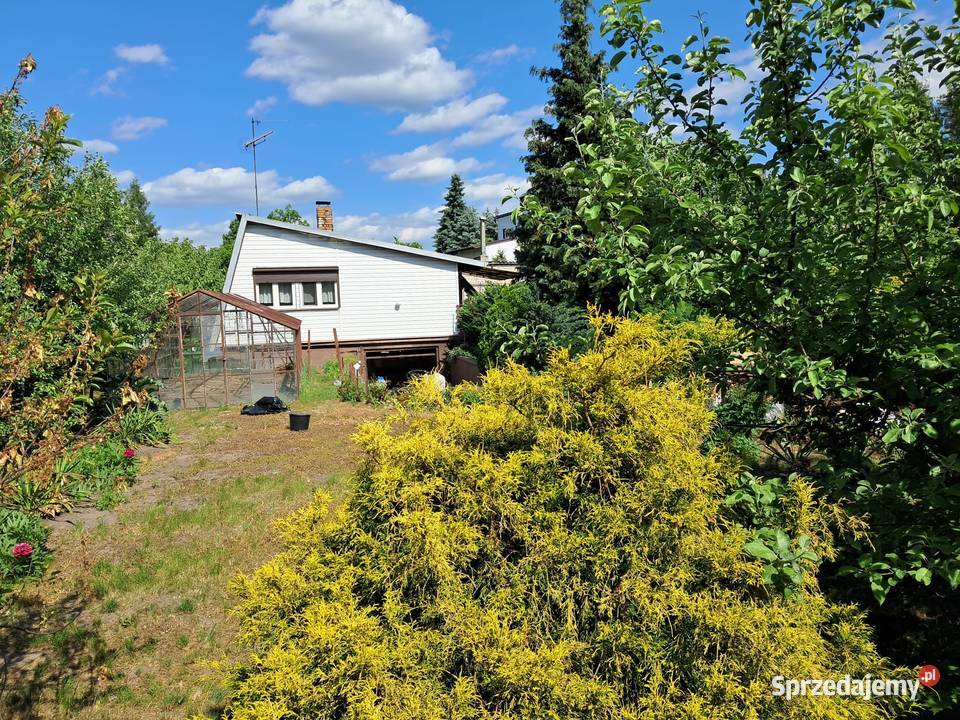 Raj wędkarza i ogrodnika Domek sad szklarnia 80m Brok
