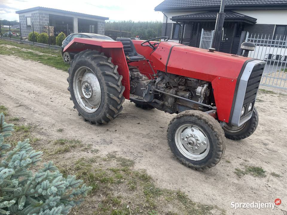Sprzedam ciągnik Massey Ferguson 245