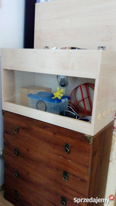 terrarium jeża Piaseczno