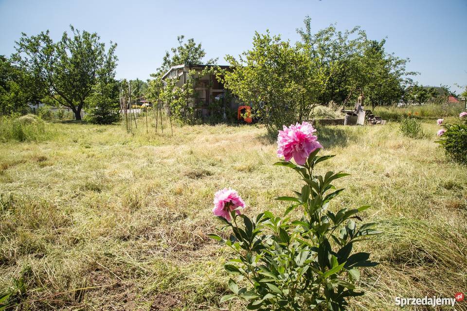Sprzedam działkę rekreacyjną w Kamieńcu sprzedam