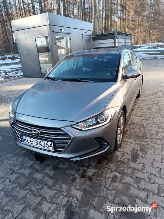 Hyundai Elantra Pierwszy Właściciel Salon Polska Brzóza Królewska