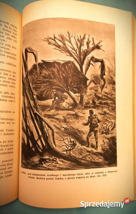 Doktor Muchołapski fantastyczne przygody w Łomianki sprzedam