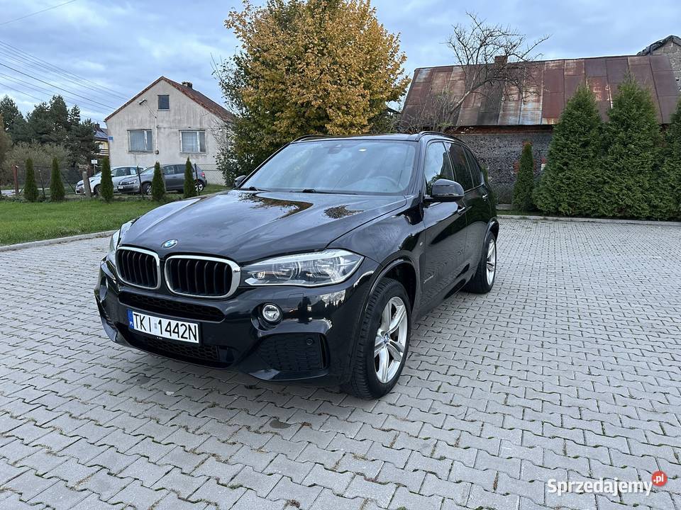 BMW X5 25d xDrive M-pakiet LED HAK