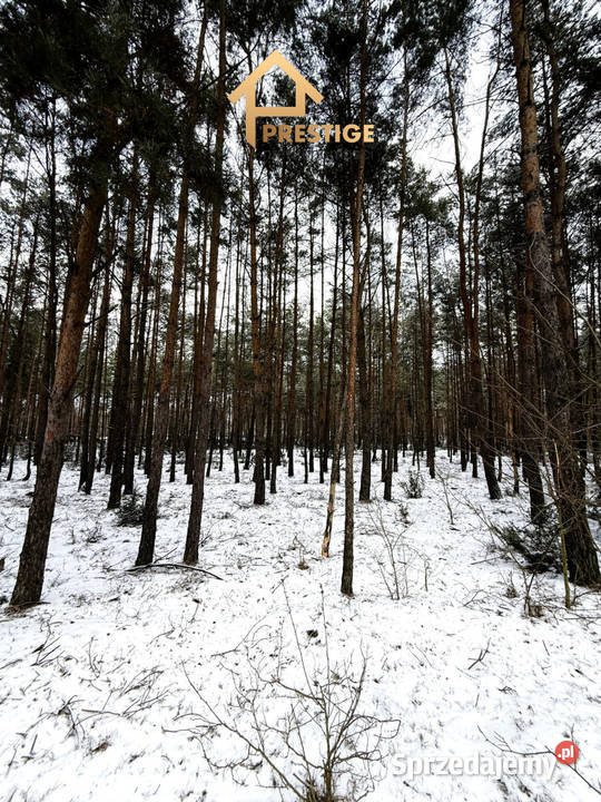 Wyjątkowa enklawa 494ha działka budowlana z budowlana Skarbki sprzedam