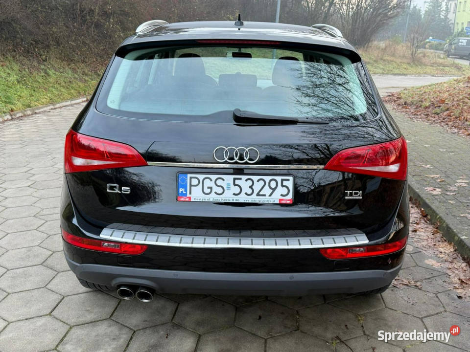 Audi Q5 Audi Q5 20TDI 140 QUATTRO Klimatronic 8R SUV Gostyń