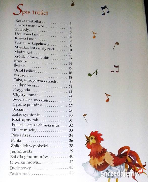Kotka Trajkotka Zbigniew Dmitroca lubelskie Chełm