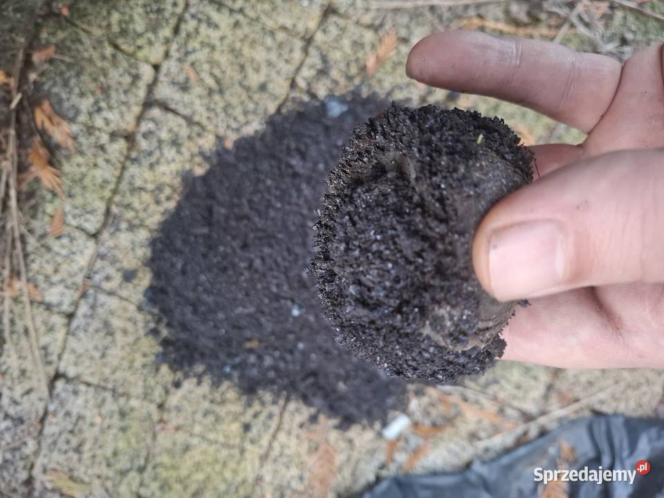 zgorzelina walcownicza kod 100210 zendra złom sprzedam