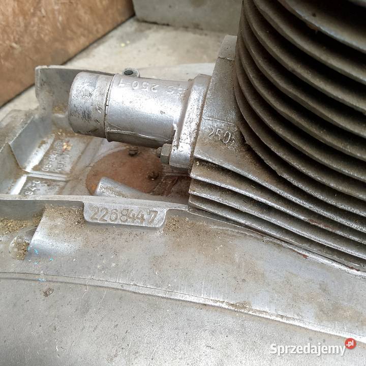 mz 250 jaskułka silnik Międzychód