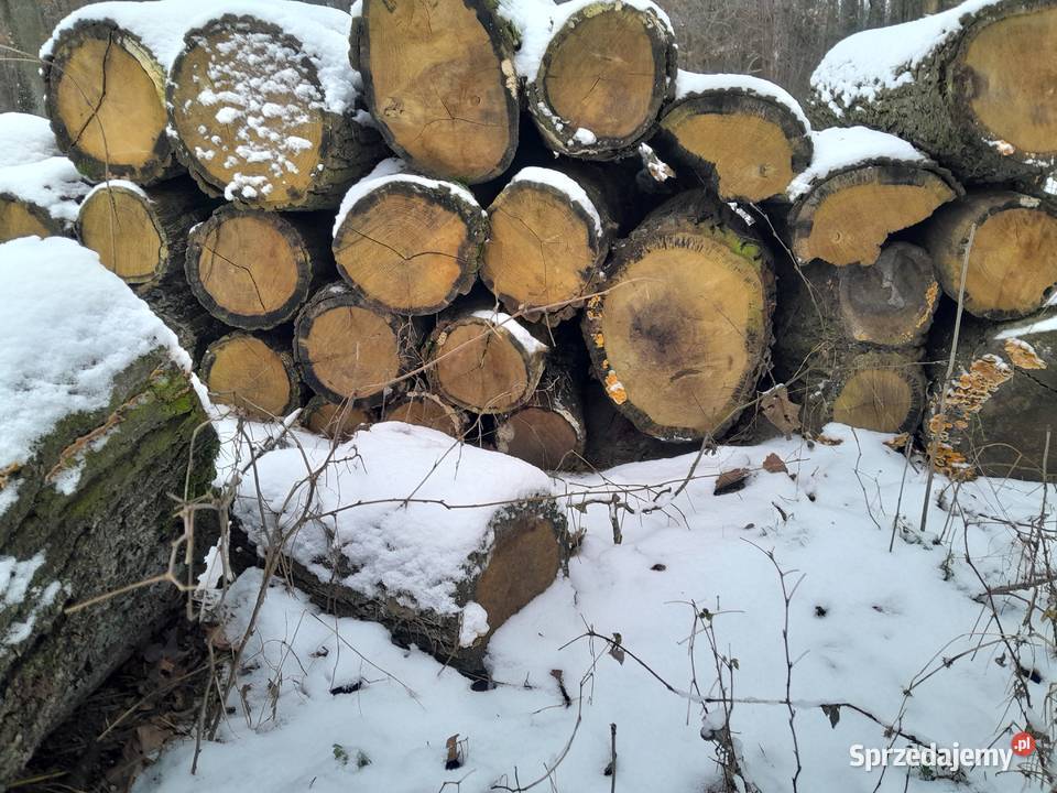 Sprzedam drewno dębowesezonowane Śrem sprzedam