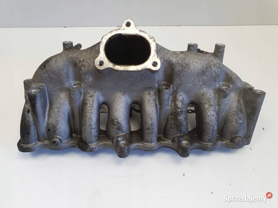 SsangYong Rexton 20 XDI KOLEKTOR SSĄCY nastwanik