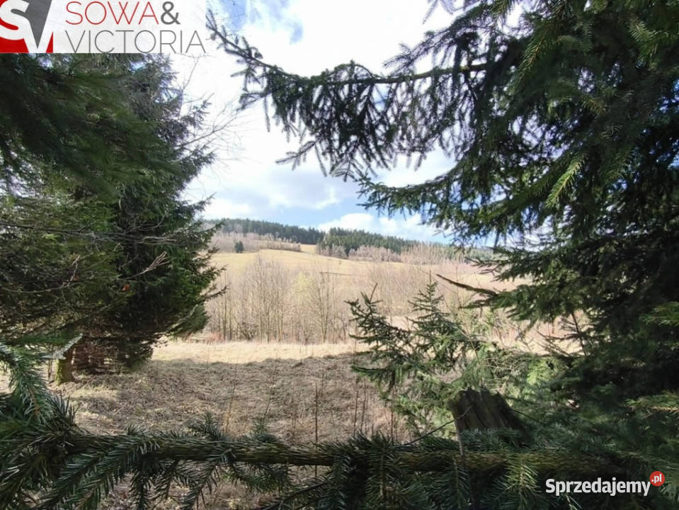 Widok na zachód słońca prąd dostępny na działce