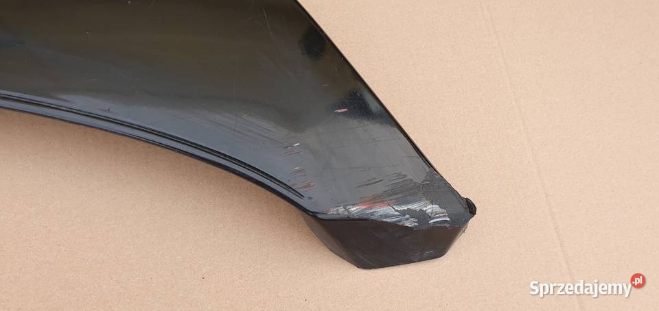 RENAULT RANGE T GAMA NADKOLE OSŁONA BŁOTNIKA lubuskie Bieleń