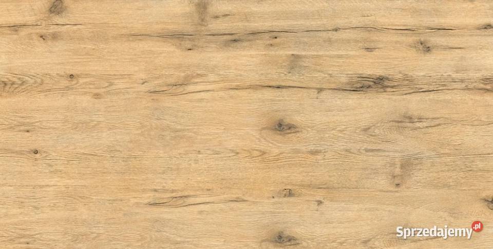 Purus pine 60x120 Płytki uniwersalne Staszów