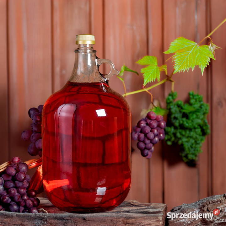Butelka damka Gąsior 5L Tarnów