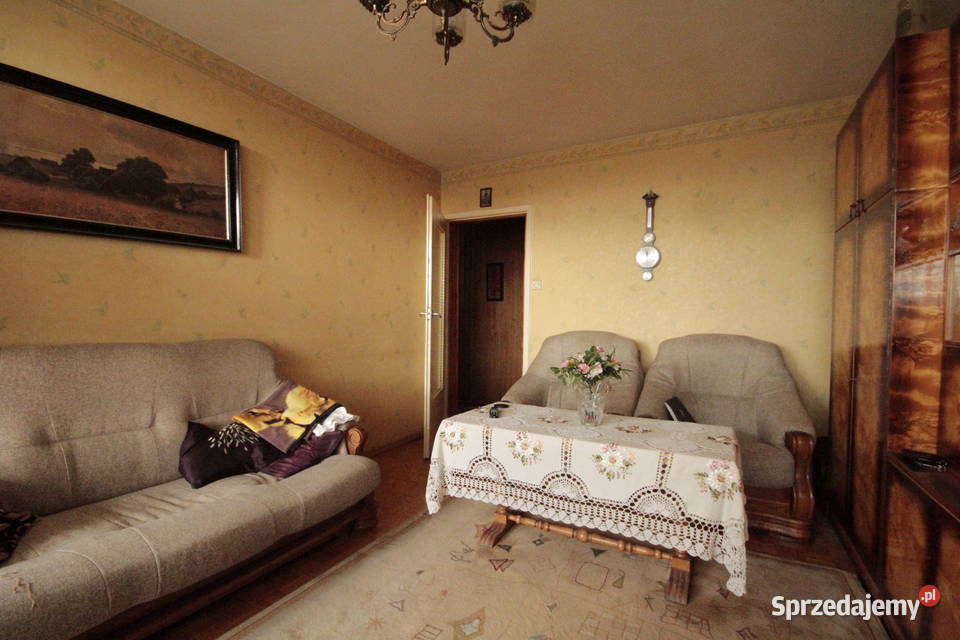 3pok 64met Drzewieckiego BALKONPIWNICAWINDA 3 piętra i więcej Wrocław