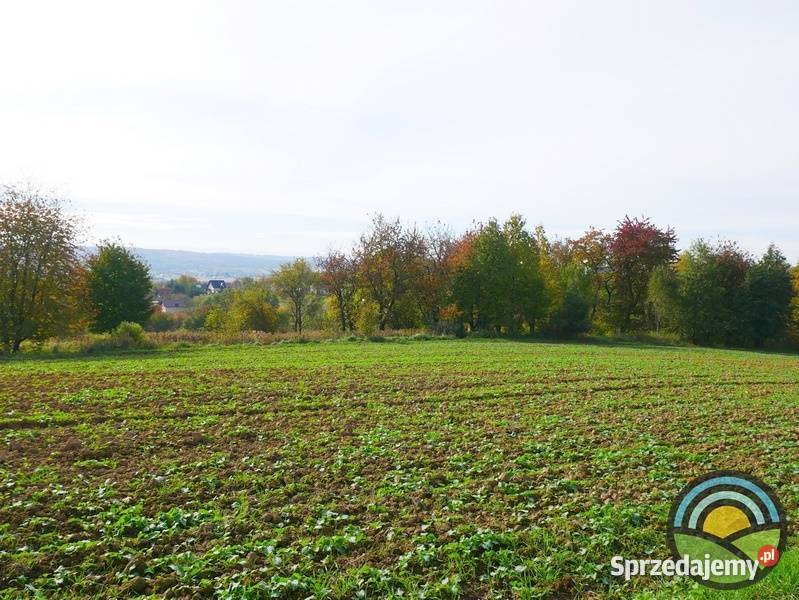 Radwanowice gm Zabierzów widokowa 53arowa Sprzedaż