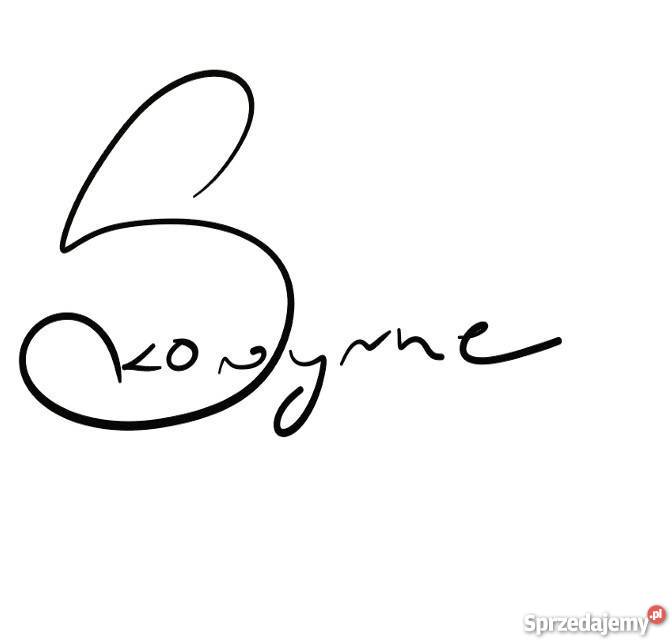 Agencja Kreatywna Skowyrne Koszalin