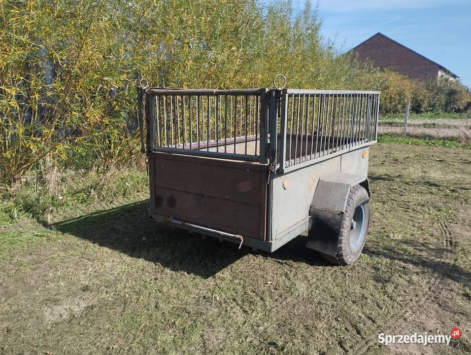 Przyczepa jednoosiowa łódzkie Rzgów sprzedam