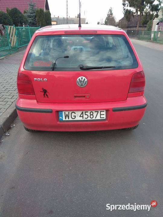 Ładny ww polo lubelskie Dęblin