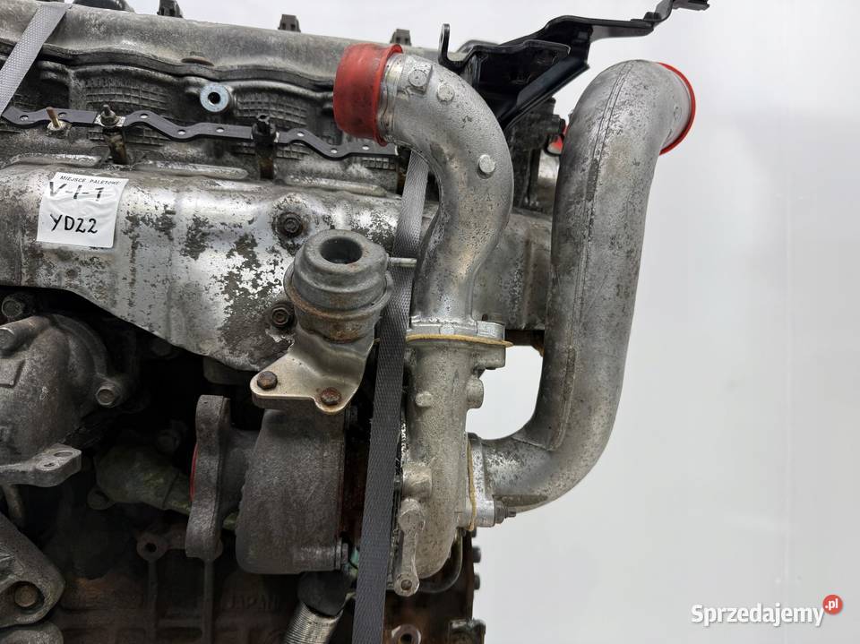 SILNIK Nissan XTrail Primera P12 22 DCI 136 4 Silniki kompletne Chełm sprzedam