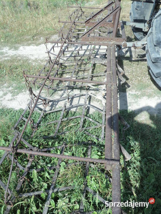 Brony brona 6 polowe kujawsko-pomorskie Niewieścin