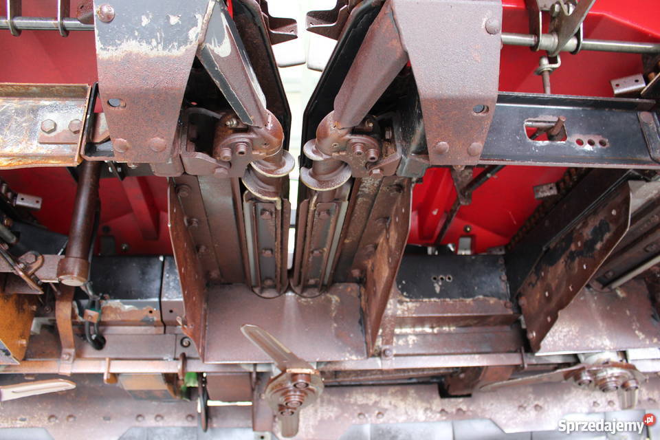 Geringhoff MSSC 600FL przystawka do kukurydzy Sokoły